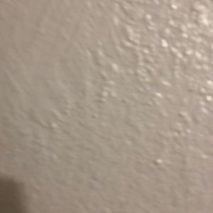 Meet your Posher, Billy